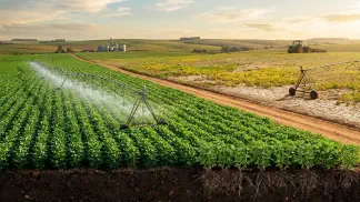 Miniatura do artigo de Gestão Agrícola: Solo e Água: Guia para Alta Produtividade na Lavoura [2025]