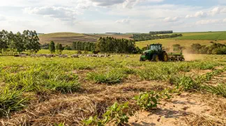 Miniatura do artigo de Gestão Agrícola: Solo Arenoso: Guia de Manejo e Alta Produtividade [2025]