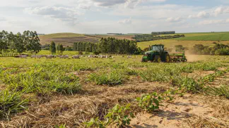 Miniatura do artigo de Gestão Agrícola: Solo Arenoso: Guia de Manejo e Alta Produtividade [2025]