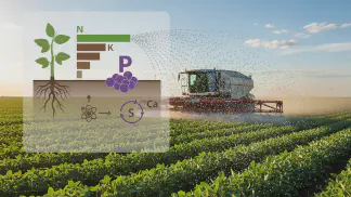 Miniatura do artigo de Gestão Agrícola: Superfosfato Simples: 18% P, 16% Ca, 10% S | Aegro