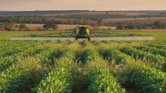Miniatura do artigo de Gestão Agrícola: Tecnologia Enlist na Soja: O Guia Completo para o Produtor