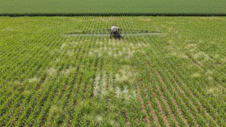 Miniatura do artigo de Manejo de Plantas Daninhas: Tembotrione no Milho: Guia Completo para Controle de Plantas Daninhas