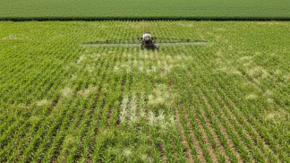 Miniatura do artigo de Manejo de Plantas Daninhas: Tembotrione no Milho: Guia Completo para Controle de Plantas Daninhas