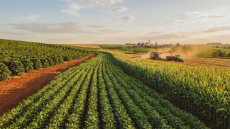Miniatura do artigo de Gestão Agrícola: Temperatura Ideal da Mandioca: Produção Máxima [Guia 2025]