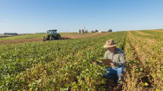Miniatura do artigo de Gestão Agrícola: Tipos de Feijão Mais Vendidos: Guia para Lucrar [2025]