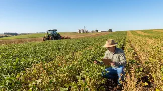 Miniatura do artigo de Gestão Agrícola: Tipos de Feijão Mais Vendidos: Guia para Lucrar [2025]