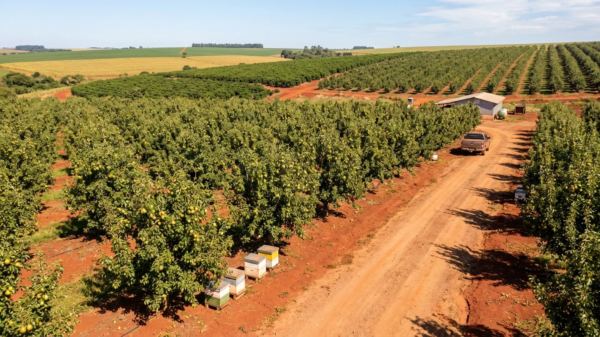 Imagem de destaque do artigo: Tipos de Pera: Guia Completo de Variedades e Produção [2025]