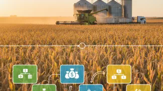 Miniatura do artigo de Gestão Financeira: Tributação do Milho: Guia Completo de Impostos para Produtores