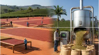 Miniatura do artigo de Gestão Agrícola: Umidade do Grão de Café: O Guia Completo para Secagem e Qualidade