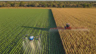 Miniatura do artigo de Gestão Agrícola: Ureia Agrícola: Como Aplicar e Evitar Perdas