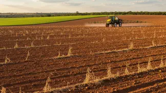 Miniatura do artigo de Gestão Agrícola: Vazio Sanitário da Soja: Guia Completo para Proteger sua Lavoura