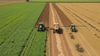 Miniatura do artigo de Manejo de Doencas: Vazio Sanitário: Proteção Completa para Soja, Feijão e Algodão