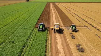 Miniatura do artigo de Manejo de Doencas: Vazio Sanitário: Proteção Completa para Soja, Feijão e Algodão
