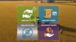 Miniatura do artigo de Mercado Agrícola: Venda da Soja: Como Negociar e Garantir o Melhor Preço na Safra?