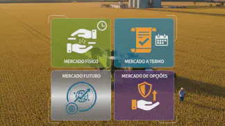 Miniatura do artigo de Mercado Agrícola: Venda da Soja: Como Negociar e Garantir o Melhor Preço na Safra?