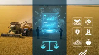 Miniatura do artigo de Mercado Agrícola: Venda de Grãos: Como e Quando Vender sua Safra para Lucrar Mais