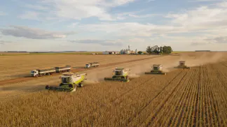 Miniatura do artigo de Gestão Agrícola: Venda Direta de Hortaliças ou Ceasa: Qual Lucra Mais? [2025]