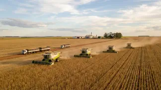 Miniatura do artigo de Gestão Agrícola: Venda Direta de Hortaliças ou Ceasa: Qual Lucra Mais? [2025]