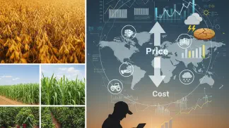 Miniatura do artigo de Gestão Agrícola: Volatilidade nas Commodities Agrícolas: Proteja sua Fazenda em 2024