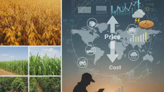 Miniatura do artigo de Gestão Agrícola: Volatilidade nas Commodities Agrícolas: Proteja sua Fazenda em 2024