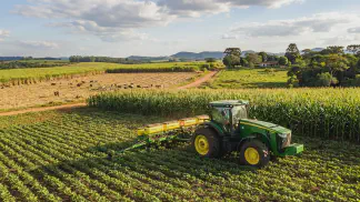 Miniatura do artigo de Gestão Agrícola: Zarc Mamona: Guia Definitivo para o Crédito Rural [2025]