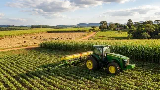 Miniatura do artigo de Gestão Agrícola: Zarc Mamona: Guia Definitivo para o Crédito Rural [2025]