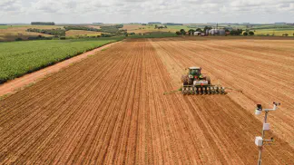 Miniatura do artigo de Gestão Agrícola: ZARC Mamona: Guia Completo para Plantar sem Riscos [2025]