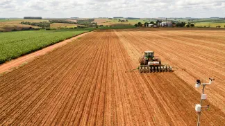 Miniatura do artigo de Gestão Agrícola: ZARC Mamona: Guia Completo para Plantar sem Riscos [2025]