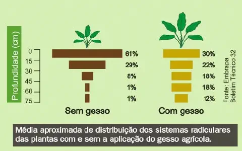 Este infográfico comparativo, com fonte da Embrapa, ilustra o efeito da aplicação de gesso agrícola no sistema radicular das