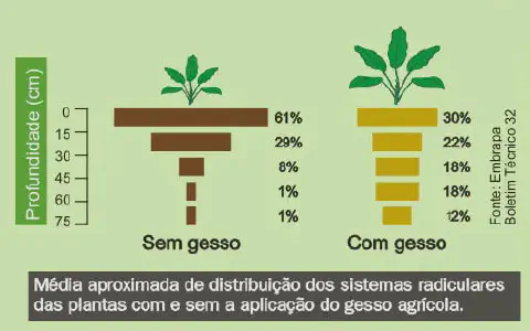 Este infográfico comparativo, com fonte da Embrapa, ilustra o efeito da aplicação de gesso agrícola no sistema radicular das