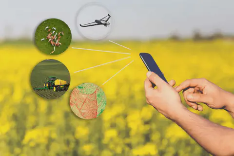 conceito de agricultura digital e gestão integrada. Em primeiro plano, mãos seguram um smartphone, que fun