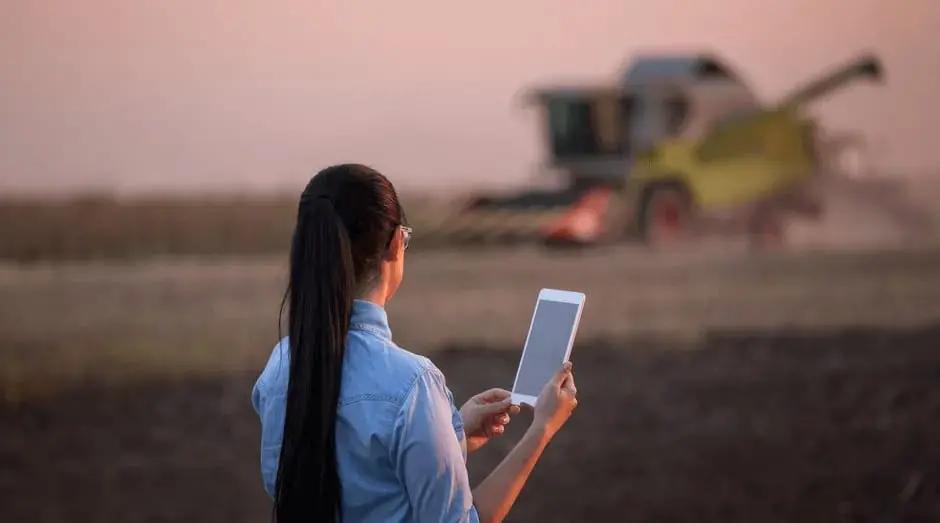 Gestão Agrícola Digital: Monitorando a Colheita no Campo mulher, vista de costas, em um campo agrícola ao entardecer ou amanhecer. Ela possui cabelos longos e es