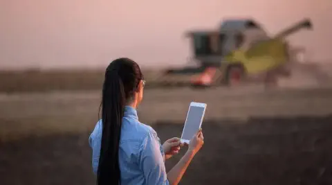 mulher, vista de costas, em um campo agrícola ao entardecer ou amanhecer. Ela possui cabelos longos e es