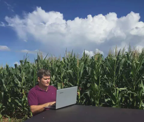produtor rural ou agrônomo trabalhando em um laptop no meio de uma lavoura de milho. O homem, vestindo um