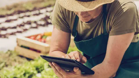agricultor ou produtora rural em meio a uma plantação, utilizando um tablet. A pessoa, vestida com chapéu