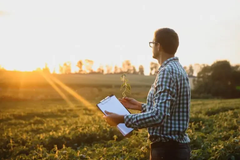 Gestão Agrícola: A Base para a Sustentabilidade e o Sucesso no Campo