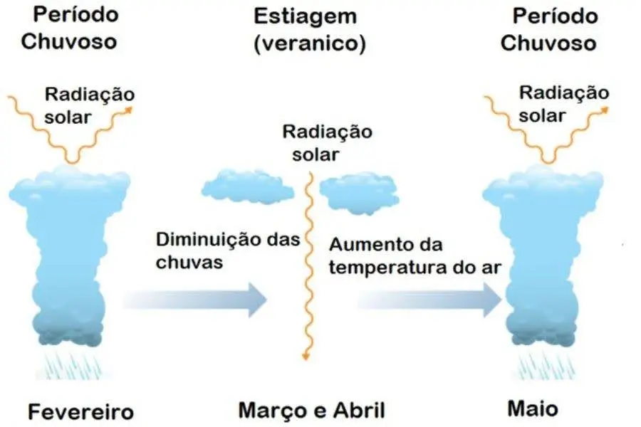 Representação de uma estiagem com suas diferenças entre período chuvoso e veranico
