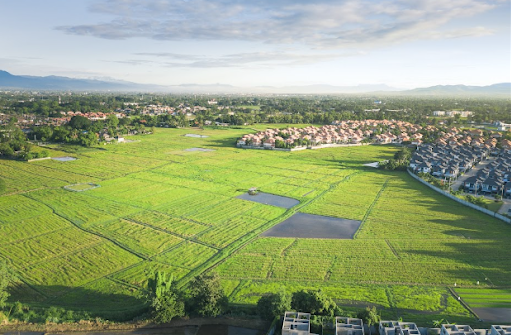 Vista aérea de uma vasta área agrícola, composta por campos verdes e segmentados, característicos de plantações de arroz ou o