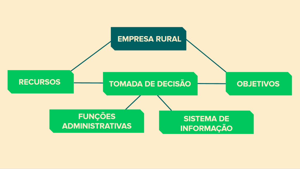 organograma conceitual que detalha a estrutura de gestão de uma empresa rural. No topo, a ‘Empresa Rura