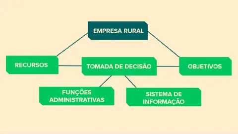 organograma conceitual que detalha a estrutura de gestão de uma empresa rural. No topo, a 'Empresa Rura
