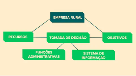 organograma conceitual que detalha a estrutura de gestão de uma empresa rural. No topo, a 'Empresa Rura