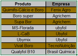 Gestão de Insumos: Controle de Produtos e Fornecedores uma tabela simples, semelhante a uma planilha, com duas colunas intituladas ‘Produto’ e ‘Empresa’. A tabela li