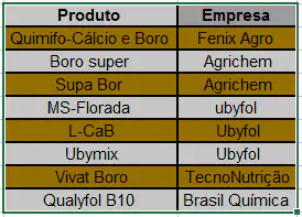 Gestão de Insumos: Controle de Produtos e Fornecedores uma tabela simples, semelhante a uma planilha, com duas colunas intituladas 'Produto' e 'Empresa'. A tabela li