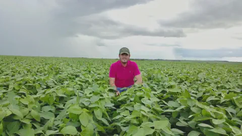 produtor rural sorridente, posicionado no centro de uma vasta e saudável lavoura de soja. Ele veste uma cam