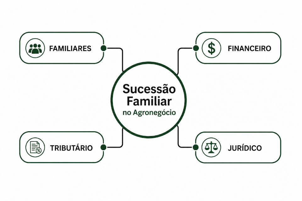 Principais dimensões da sucessão familiar no agronegócio