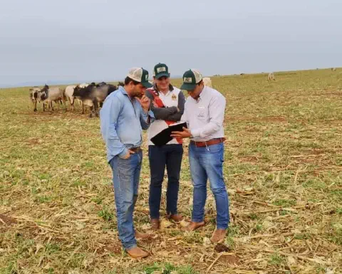 imagem retrata três homens em um ambiente rural, provavelmente uma fazenda, realizando uma análise ou discussão técnica em