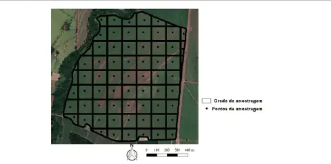 uma vista aérea de um talhão agrícola sobre a qual foi sobreposta uma grade de amostragem. Esta grade, compost