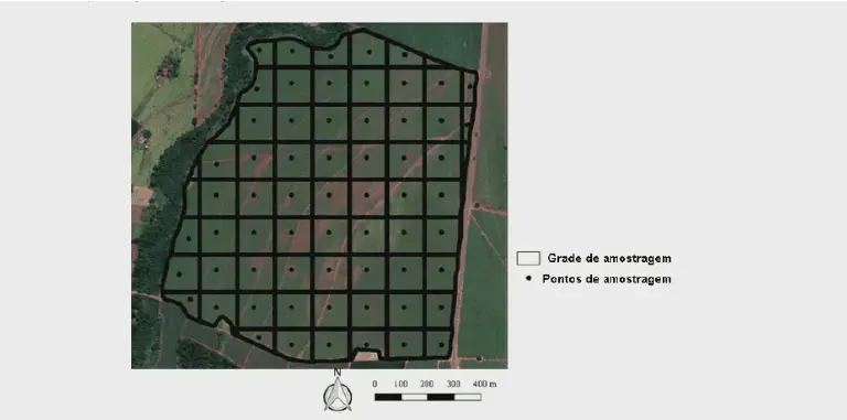 Grade de Amostragem na Agricultura de Precisão: O que é? uma vista aérea de um talhão agrícola sobre a qual foi sobreposta uma grade de amostragem. Esta grade, compost