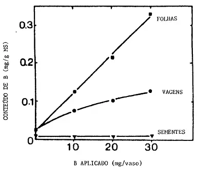 Este é um gráfico de linhas que ilustra os resultados de um experimento sobre a absorção e distribuição do micronutriente Bor