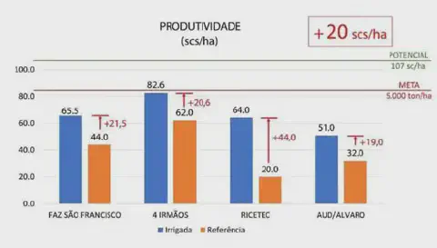 gráfico de barras verticais intitulado 'PRODUTIVIDADE (scs/ha)', que compara a produtividade agrícola entre